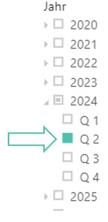 Datenschnitt in Power BI. Die Farbe des ausgewählten Kontrollkästchens ist grün.